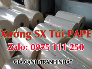 Danh Sách Công Ty Sản Xuất Túi PA Hút Chân Không